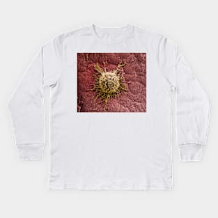 Bone marrow stem cell on cartilage, SEM (C019/7222) Kids Long Sleeve T-Shirt